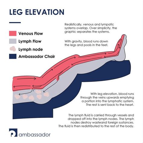 why does elevation help inflammation